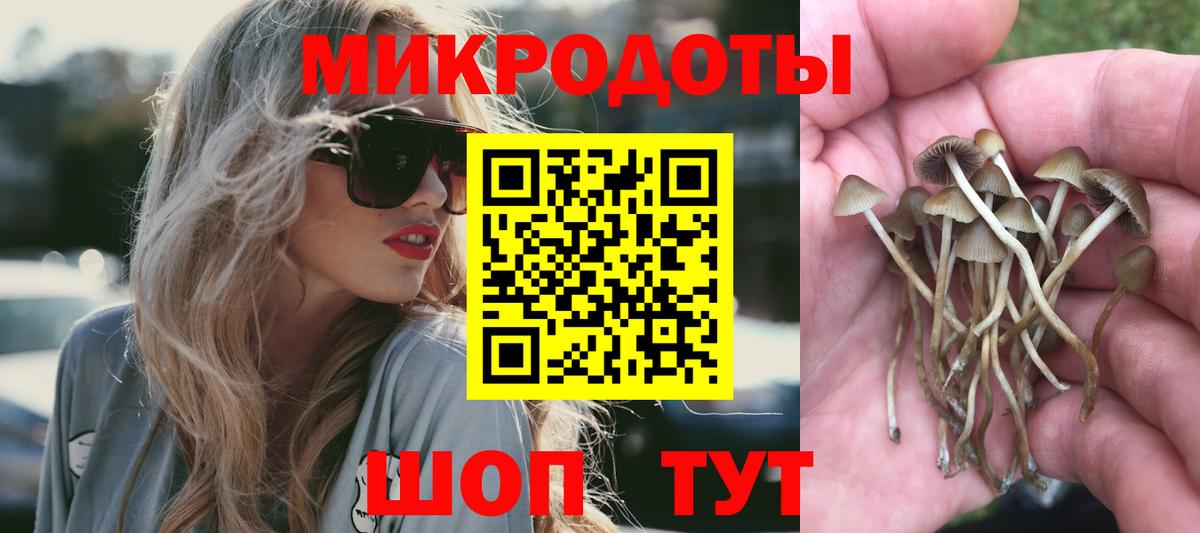 дарнет шоп  Вход с VPN  Мариинск  Галлюциногенные грибы Psilocybine cubensis 
